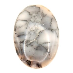 Cab734 - Dendritic Agate