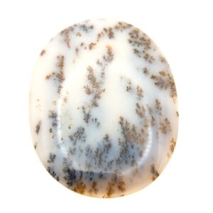 Cab735 - Dendritic Agate