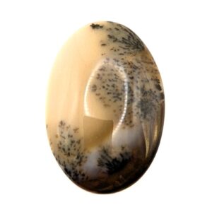 Cab713 - Dendritic Agate