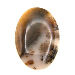 Cab714 - Dendritic Agate