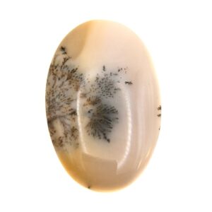 Cab718 - Dendritic Agate