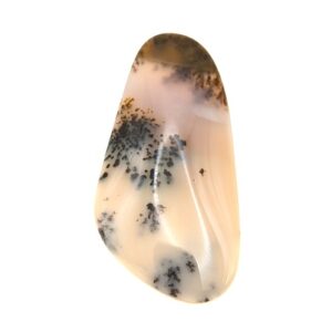 Cab719 - Dendritic Agate