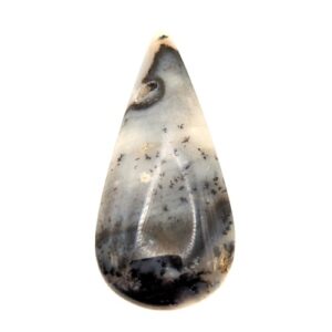 Cab770 - Parral Dendritic Agate