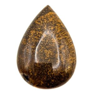 Cab800 - Sagenite Agate