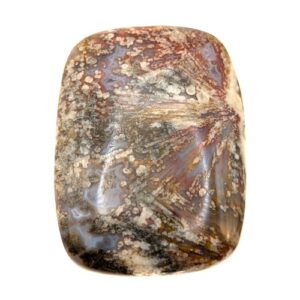 Cab818 - Sagenite Agate