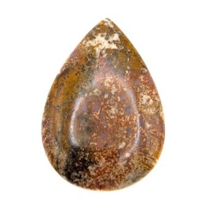 Cab819 - Sagenite Agate